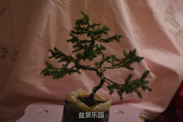210205xw9w9ybvtt9kxlnr.jpg
