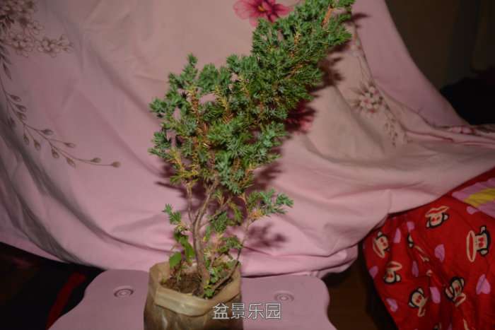 210208d3gzihhvihnnrfzh.jpg