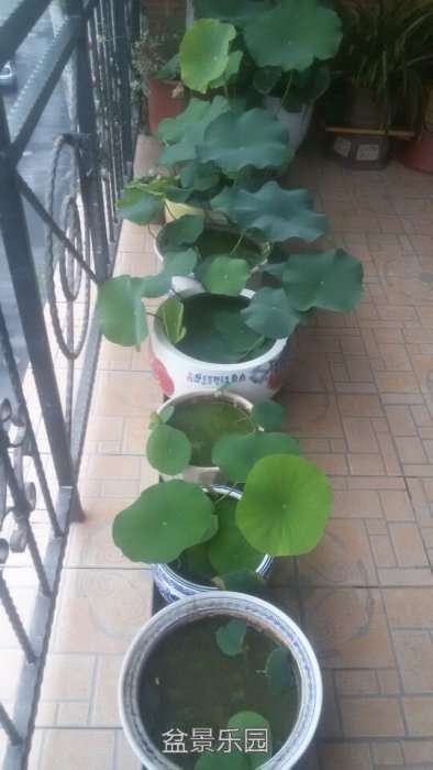 QQͼƬ20170603100756.jpg