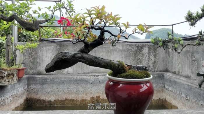 2345_image_file_copy_17.jpg