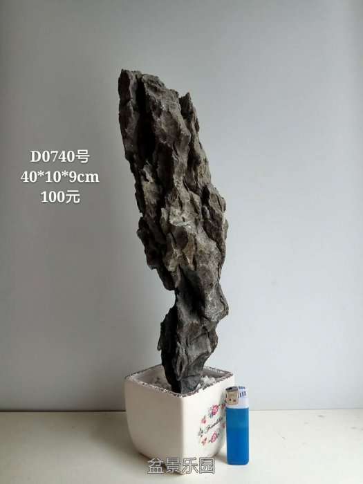 d0740.jpg