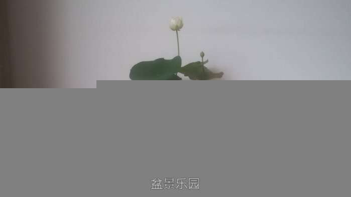 QQͼƬ20170616084216.jpg