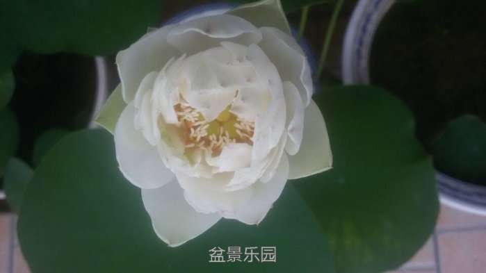 QQͼƬ20170616084233.jpg