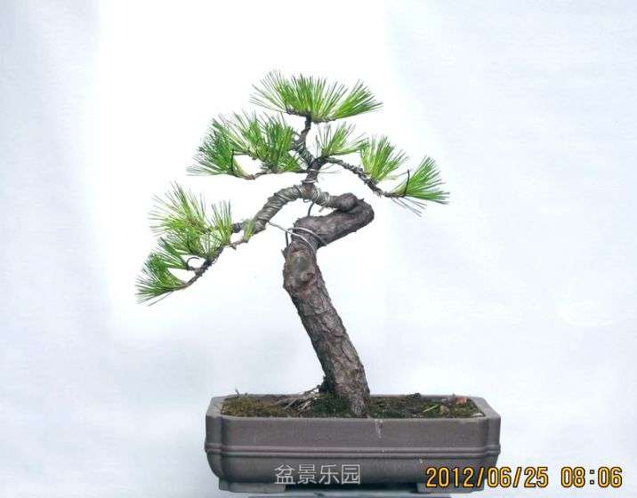 112056tufnoxuj3exesuoc.jpg
