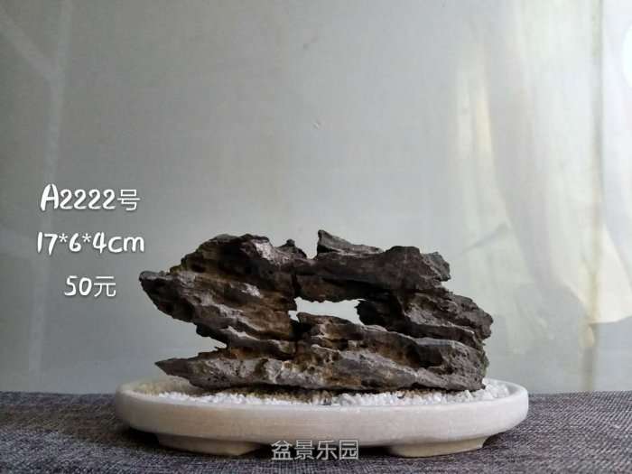 a2222.jpg