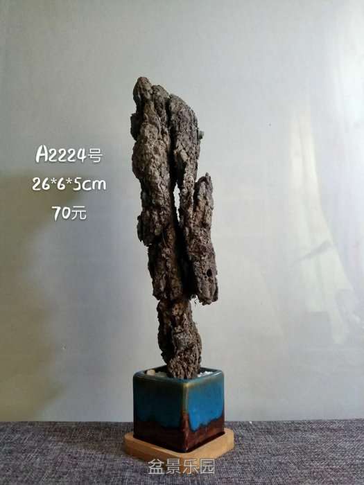 a2224.jpg