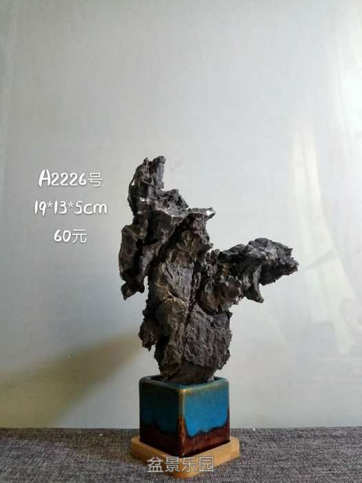 a2226.jpg