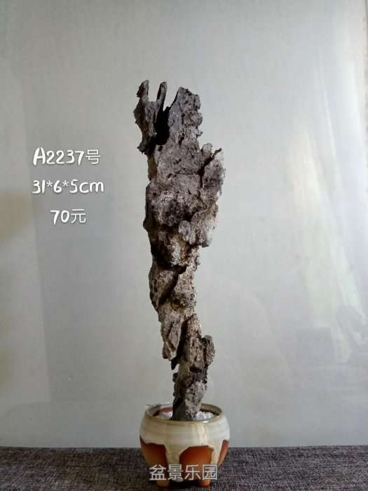 a2237.jpg