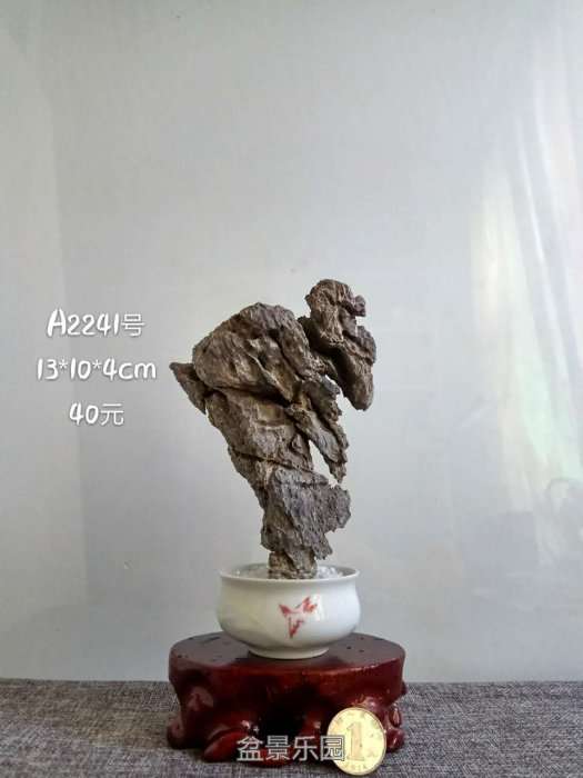 a2241.jpg