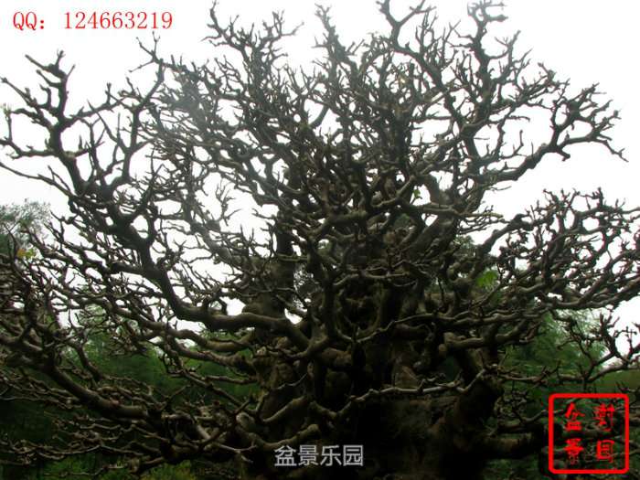 142854sh9w94bj2shr9iht.jpg