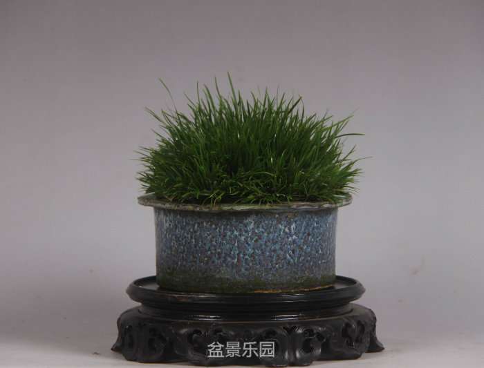 205746goynn8n8o080y4hu.jpg