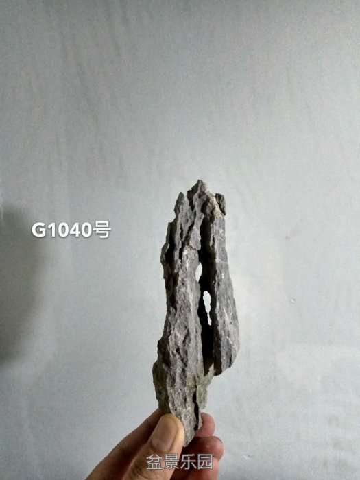 g1040.jpg