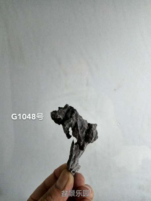 g1048.jpg