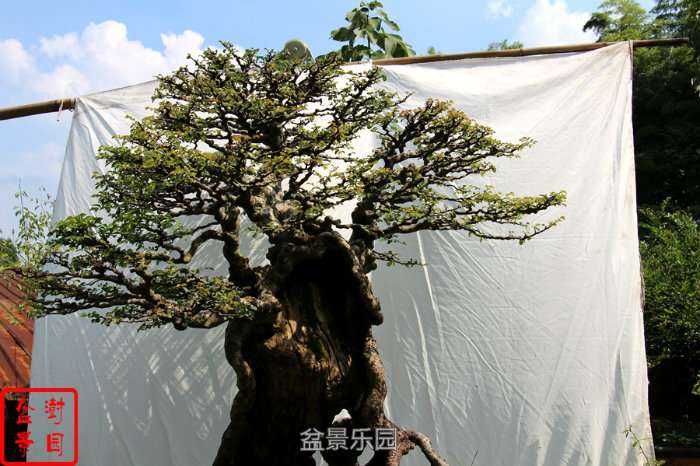 160133wj9ybc0ty9b4j6cd.jpg