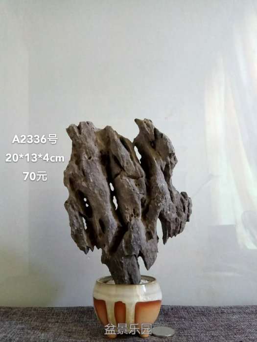 a2336.jpg