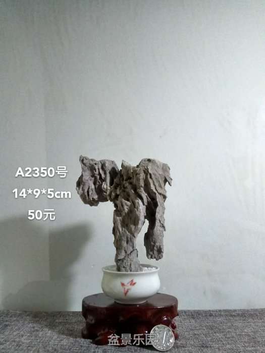 a2350.jpg