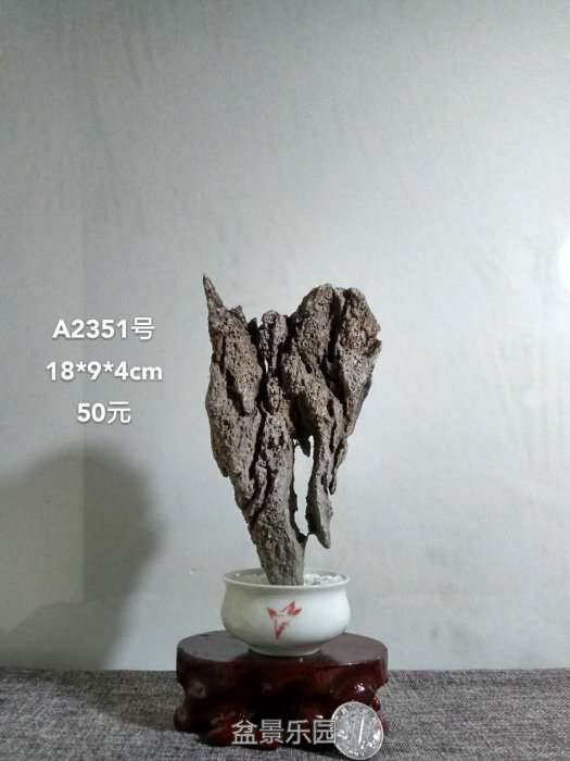 a2351.jpg