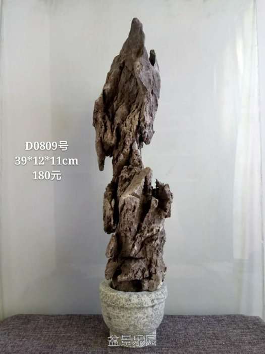 d0809.jpg