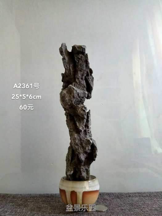 a2361.jpg