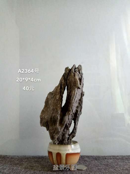 a2364.jpg