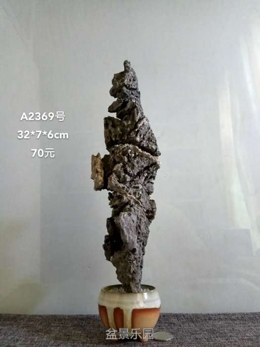 a2369.jpg