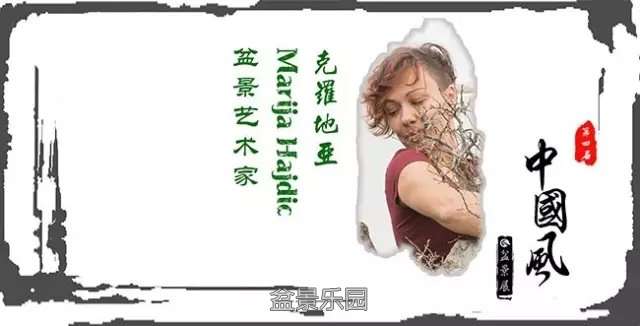 640.webp (29).jpg