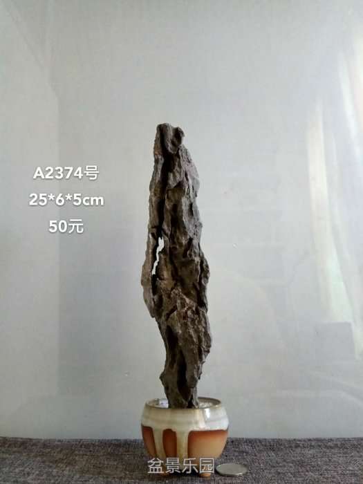 a2374.jpg
