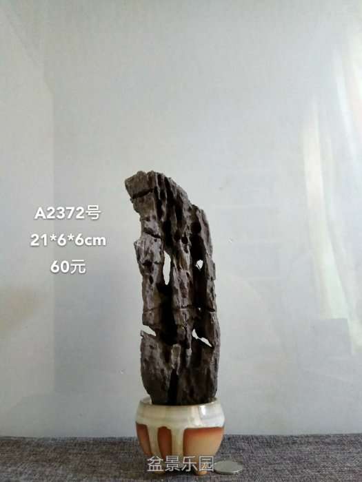 a2372.jpg
