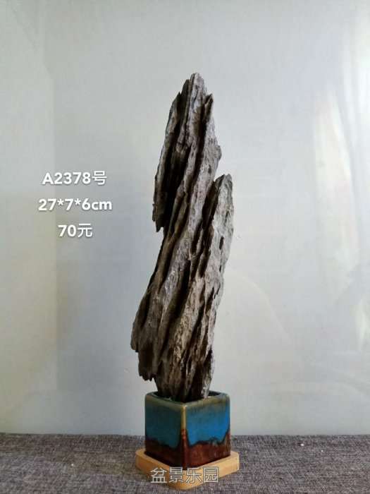 a2378.jpg