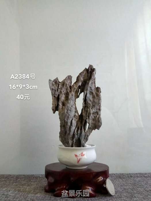 a2384.jpg