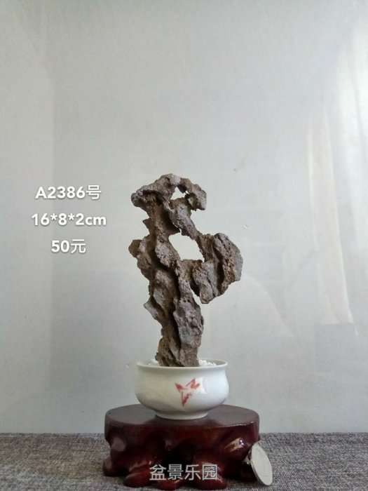 a2386.jpg