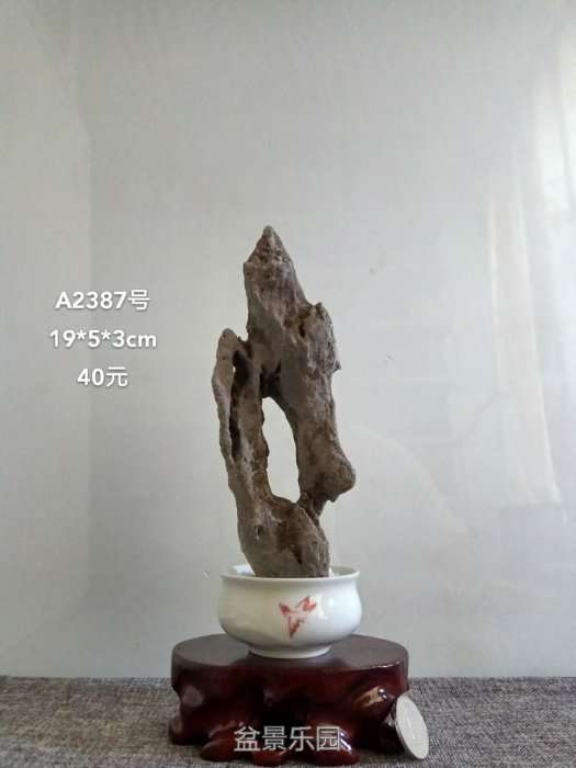 a2387.jpg