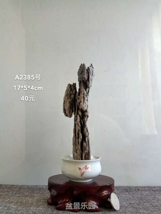 a2388.jpg