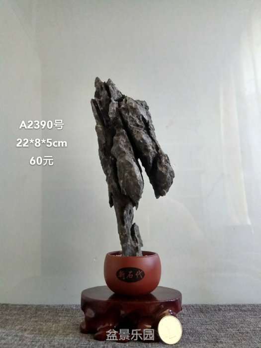 a2390.jpg