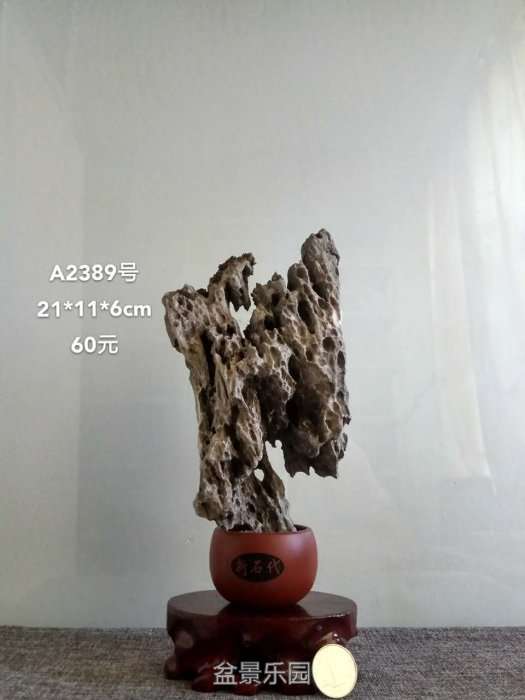 a2389.jpg