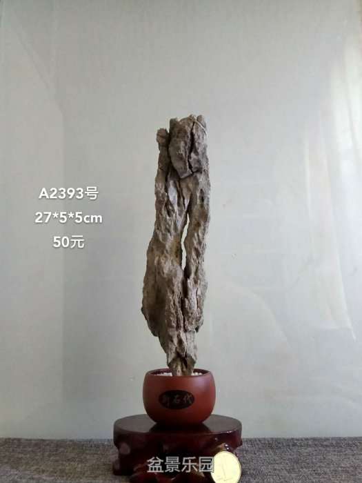 a2393.jpg