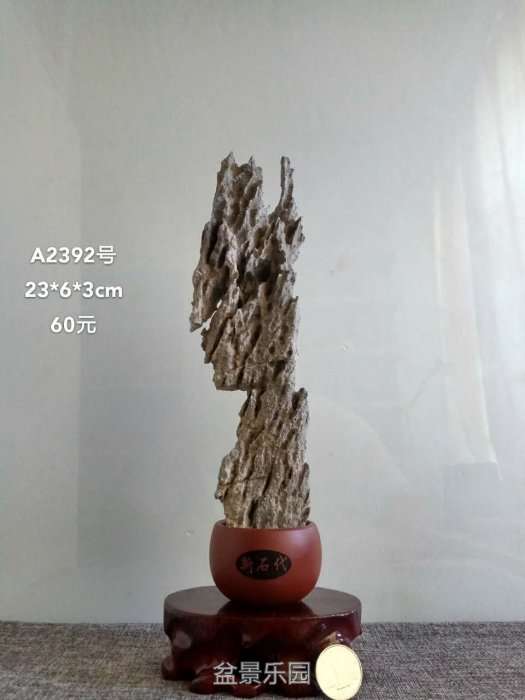 a2392.jpg