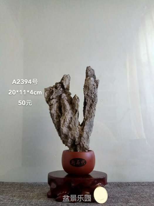 a2394.jpg