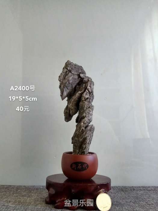 a2400.jpg