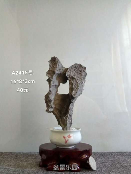 a2415.jpg