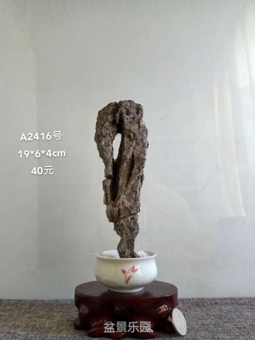 a2416.jpg