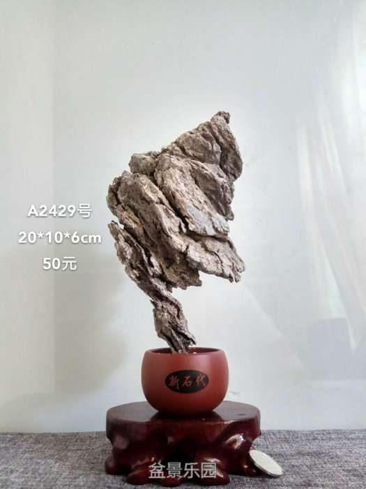 a2429.jpg