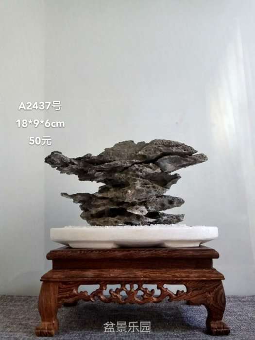 a2437.jpg