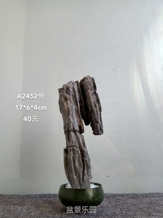 a2452.jpg