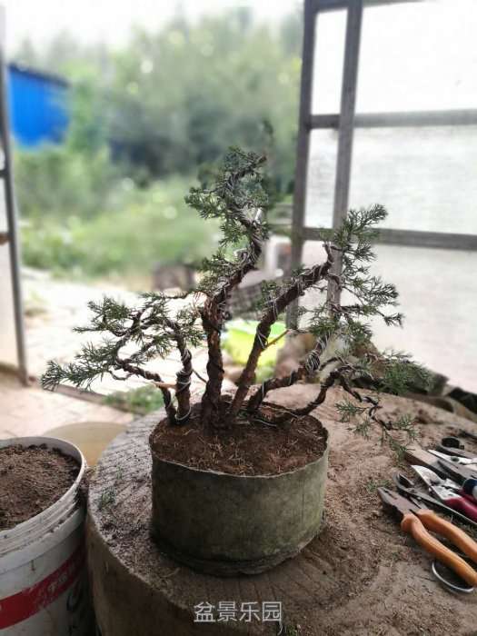 ΢ͼƬ_20170729221422.jpg