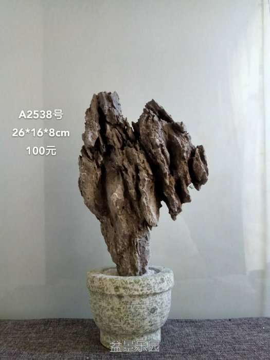 a2538.jpg