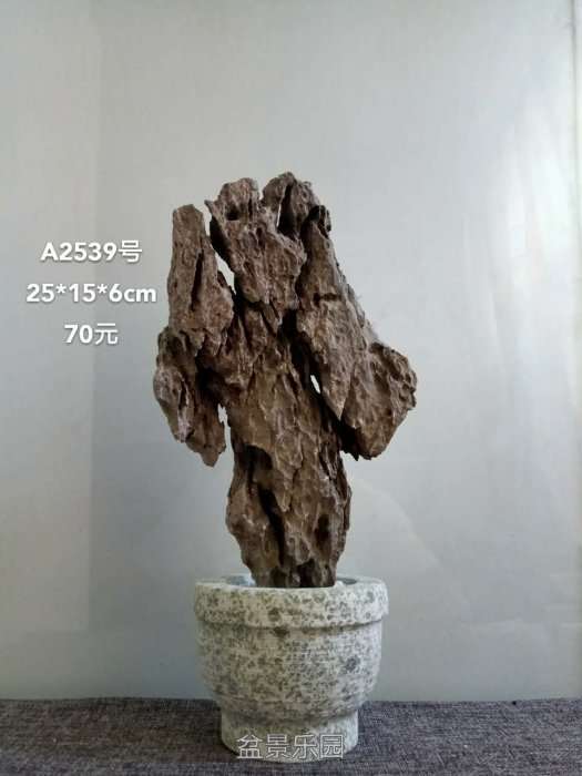 a2539.jpg