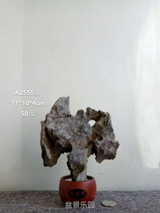 a2555.jpg