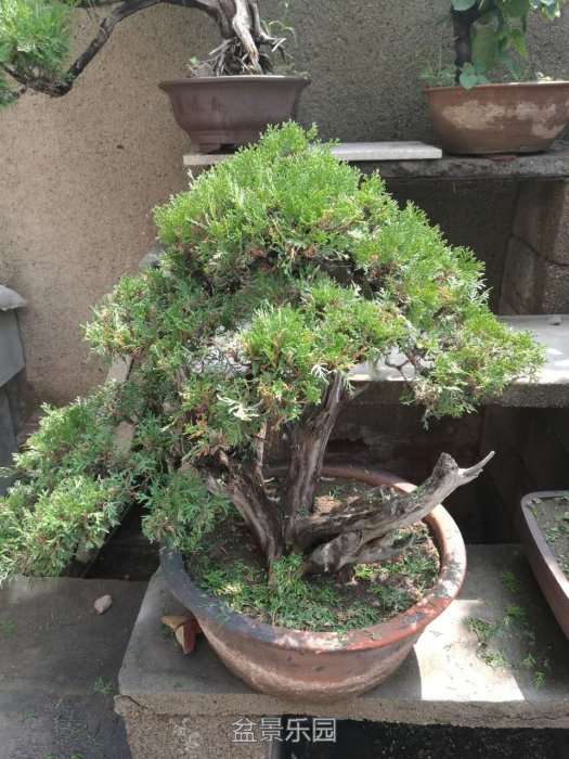 ΢ͼƬ_20170810132736.jpg