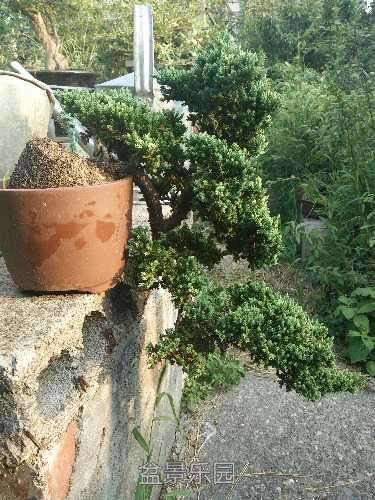 IMG20170815171016.jpg